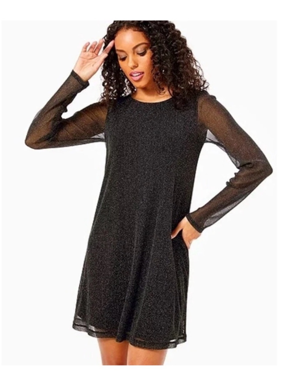 Women's Long Sleeve Black Sheer-Sleeve A-Line Dress sz:small